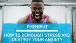 Phenibut Reviews: How to Demolish Stress and Anxiety