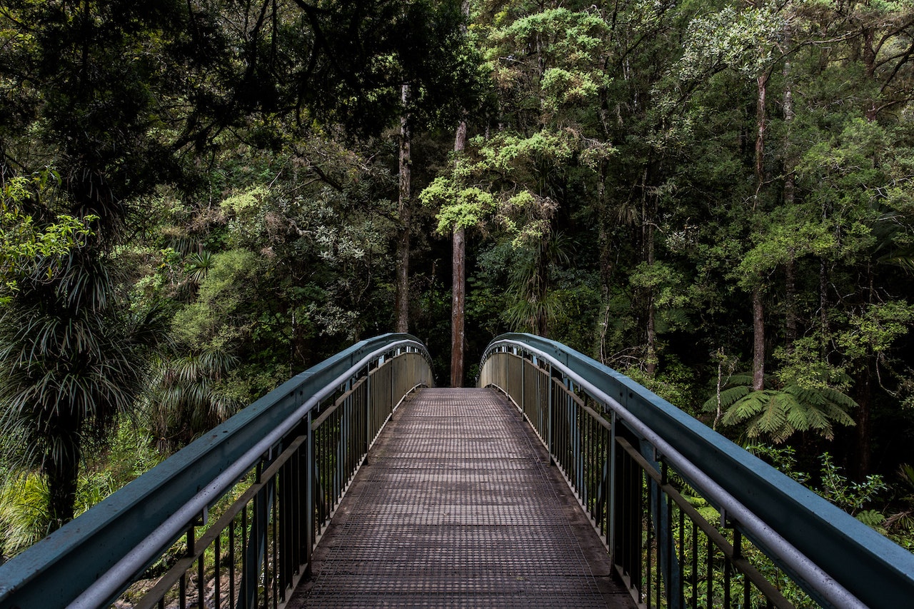 breathing exercises for anxiety: forest